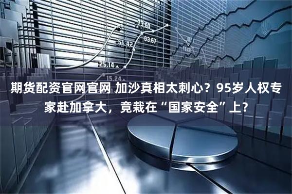 期货配资官网官网 加沙真相太刺心？95岁人权专家赴加拿大，竟栽在“国家安全”上？