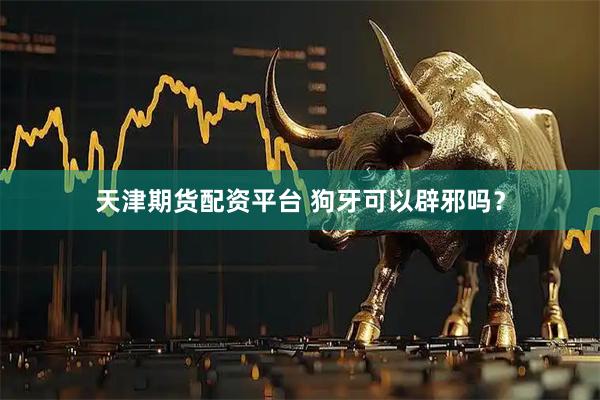 天津期货配资平台 狗牙可以辟邪吗？