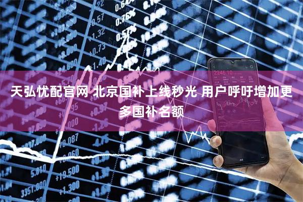 天弘忧配官网 北京国补上线秒光 用户呼吁增加更多国补名额